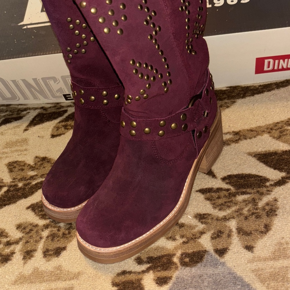 Dingo Troubadour Suede Studded Harness Tall Boots